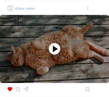 Instagram video downloader